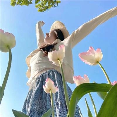 反社交网络：从网络梗到大灾祸