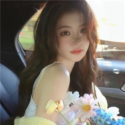 横行天下袁崇焕传国语